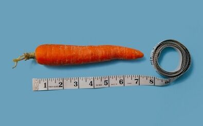 how to lose weight with the 6 petal diet